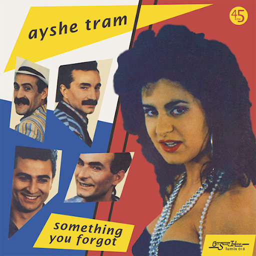 Ayshe Tram - Something You Forgot
