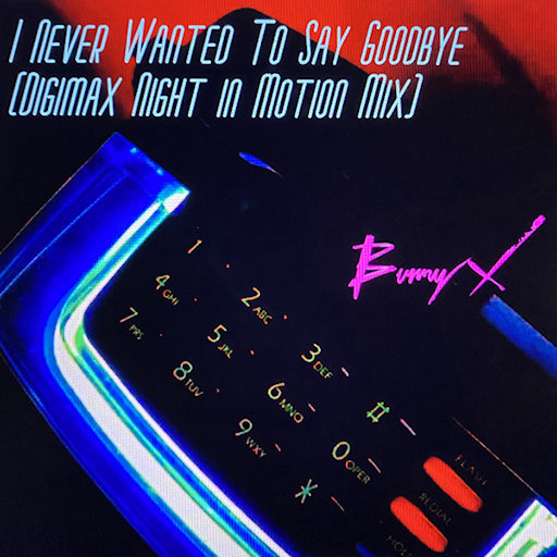 Bunny-X - I Never Wanted To Say Goodbye