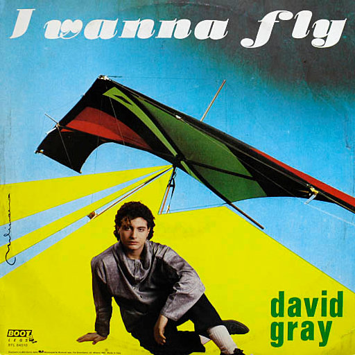 David Gray - I Wanna Fly