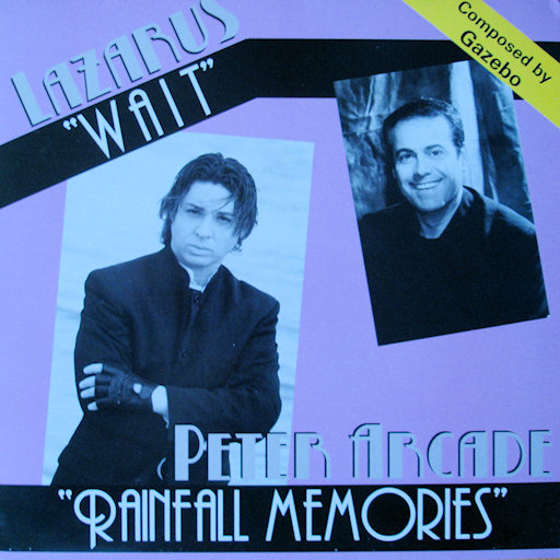 Peter Arcade - Rainfall Memories