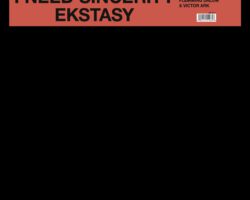 EKSTASY I Need Sincerity
